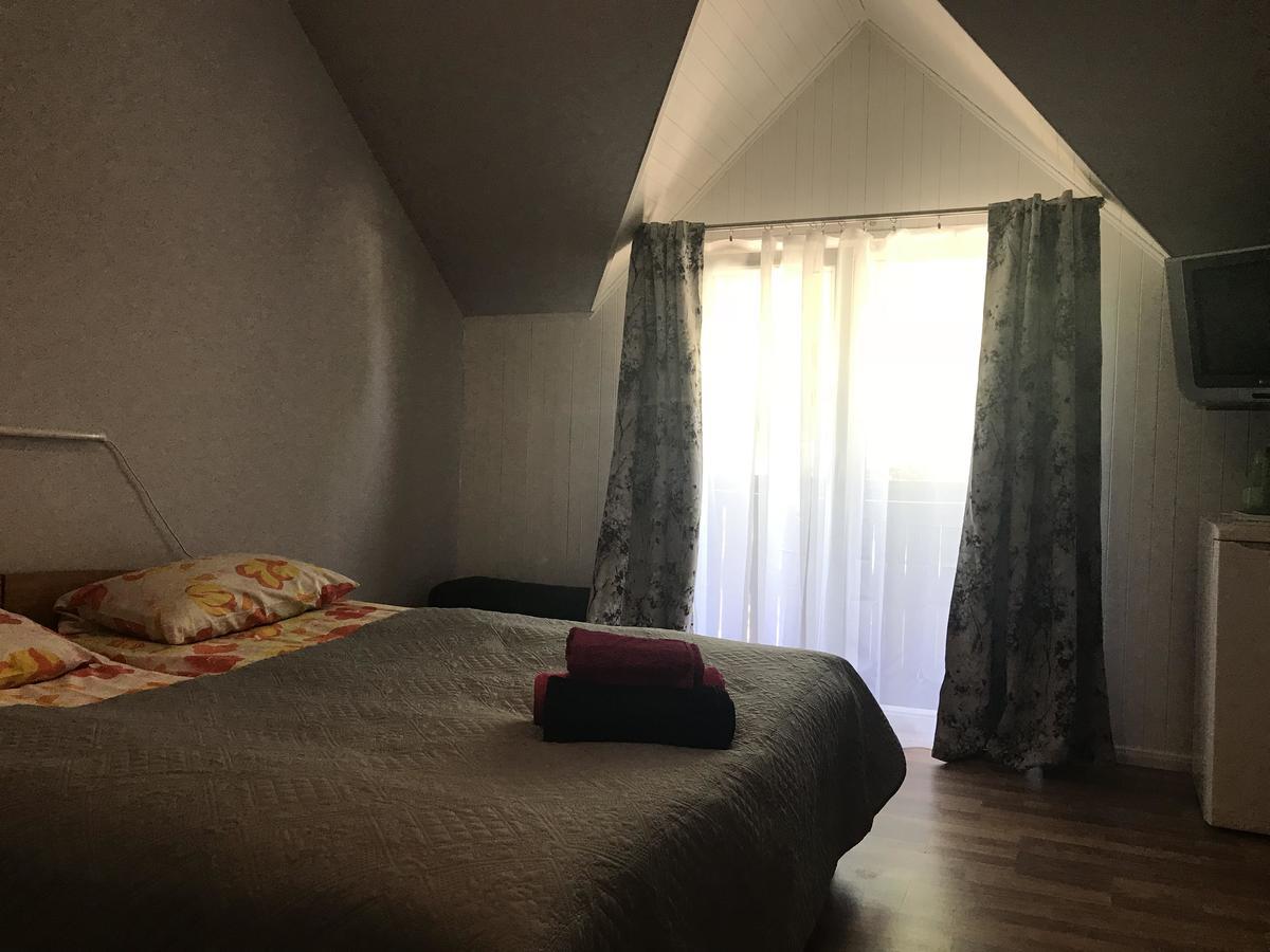 Druspolis Hotel Druskininkai Kültér fotó
