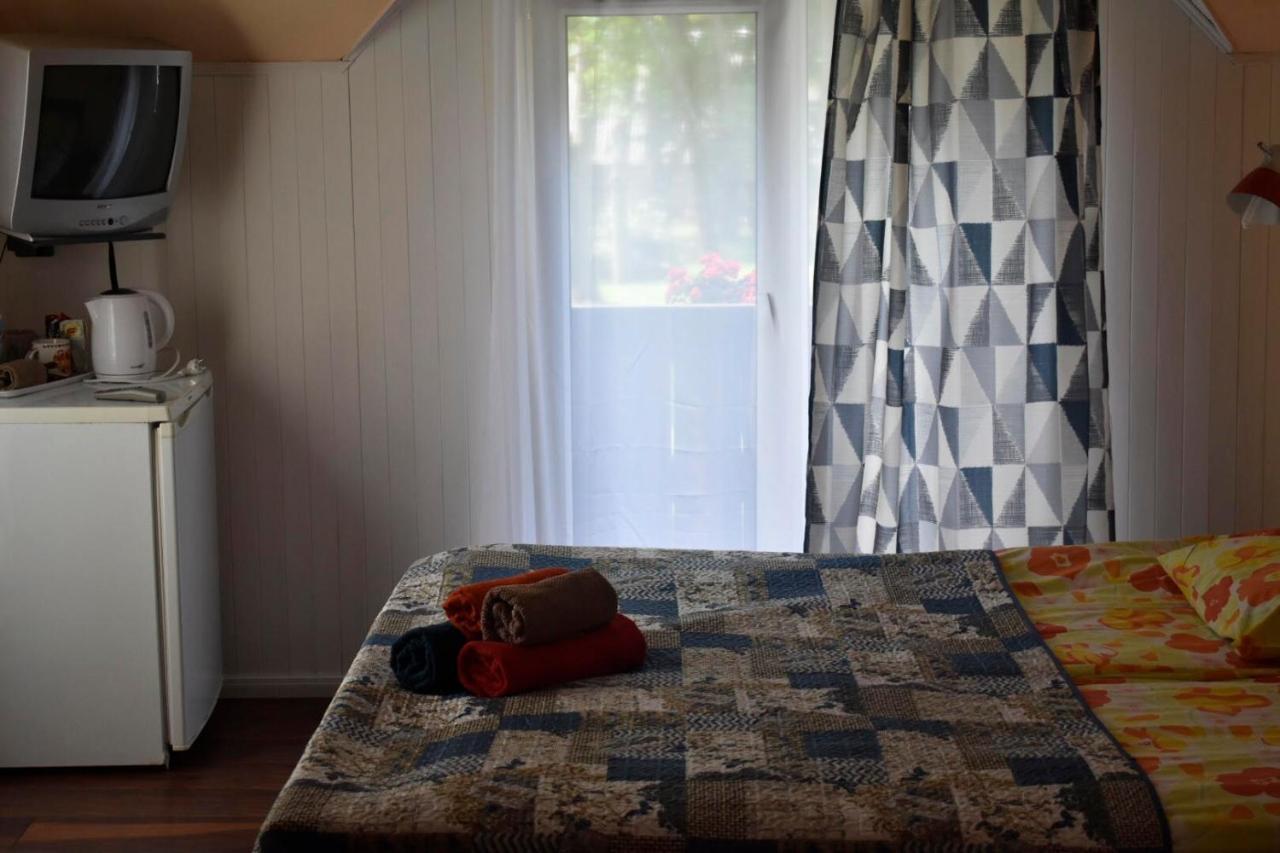 Druspolis Hotel Druskininkai Kültér fotó